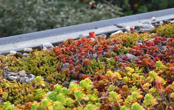 the cost of Lutton Gowts green roof installation