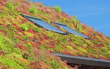 Lutton Gowts living roof systems