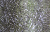 Lutton Gowts fibreglass roof work